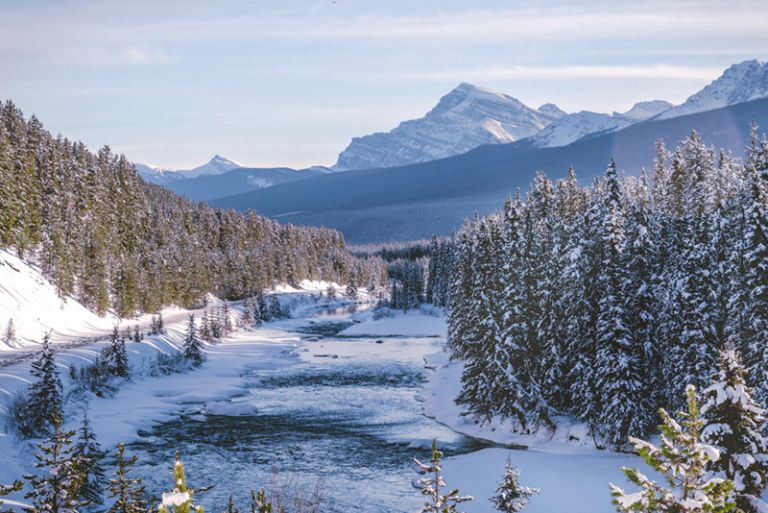 Morant's Curve in 2023 - Tips for Visiting and Photographing this Banff ...