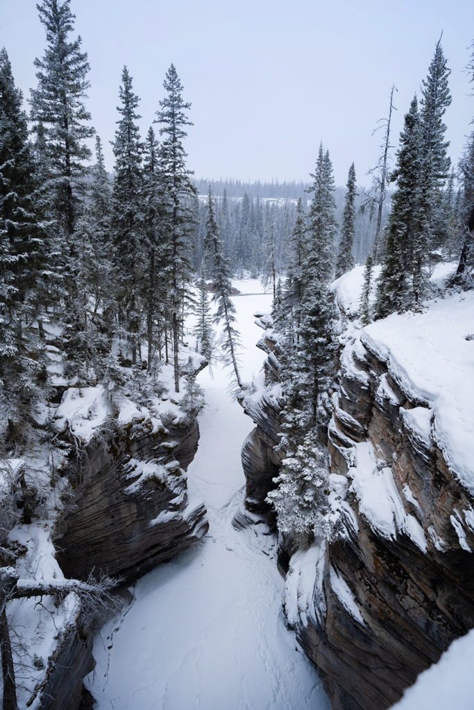 Winter Getaway to Jasper National Park: Best Things To Do, Jasper ...