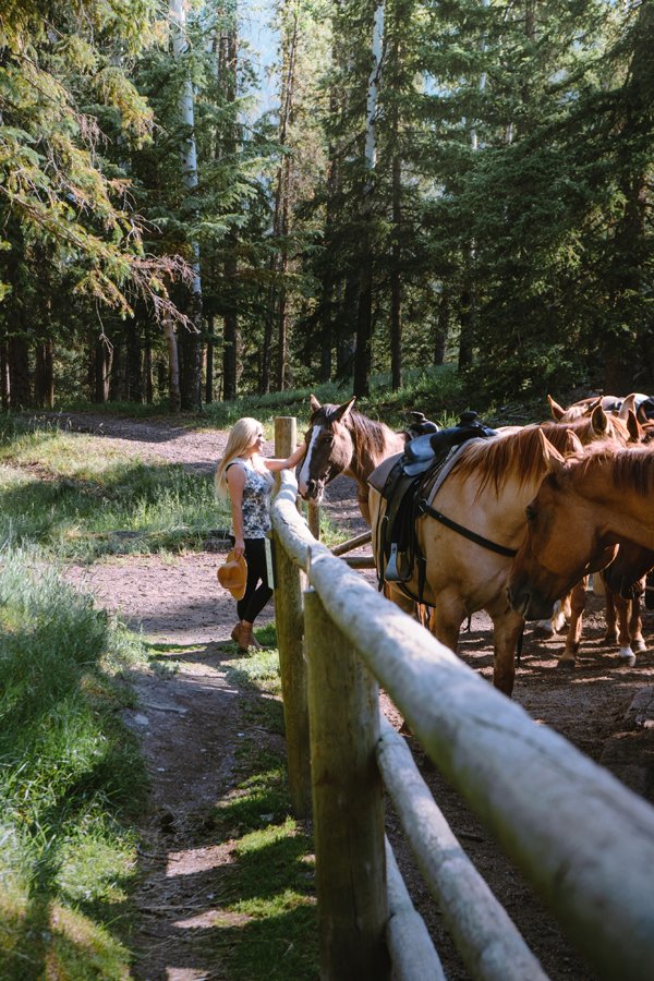 Horseback Riding in Banff - Banff Trail Rides - Nest Things to Do in Banff National Park