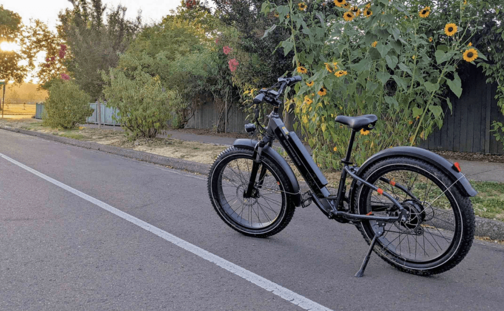 Best Ebike with Fat Tires