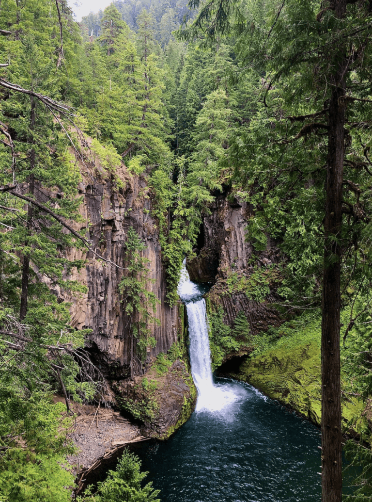 Toketee Falls Hike in Oregon, USA - Complete Guide