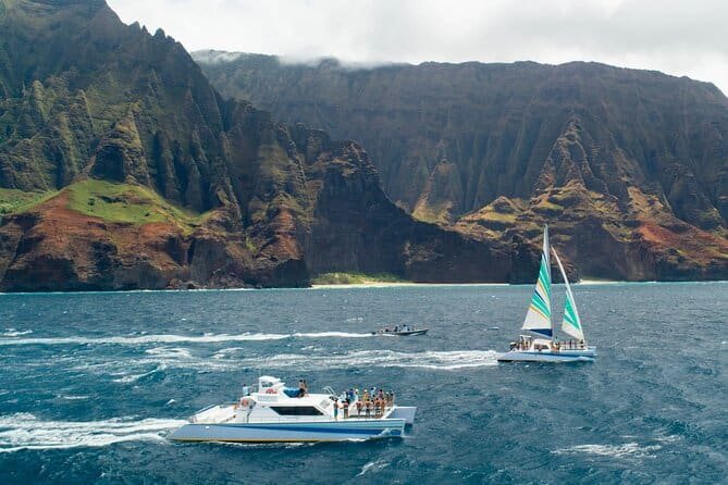 best time for whale watching in hawaii
