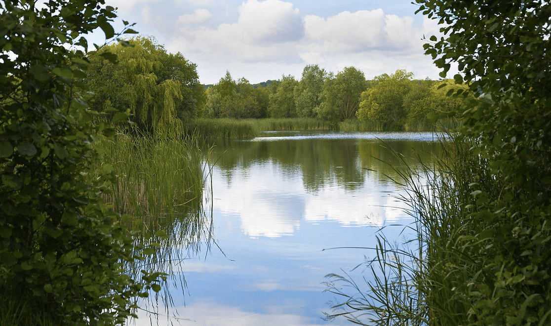 carp lakes in kent