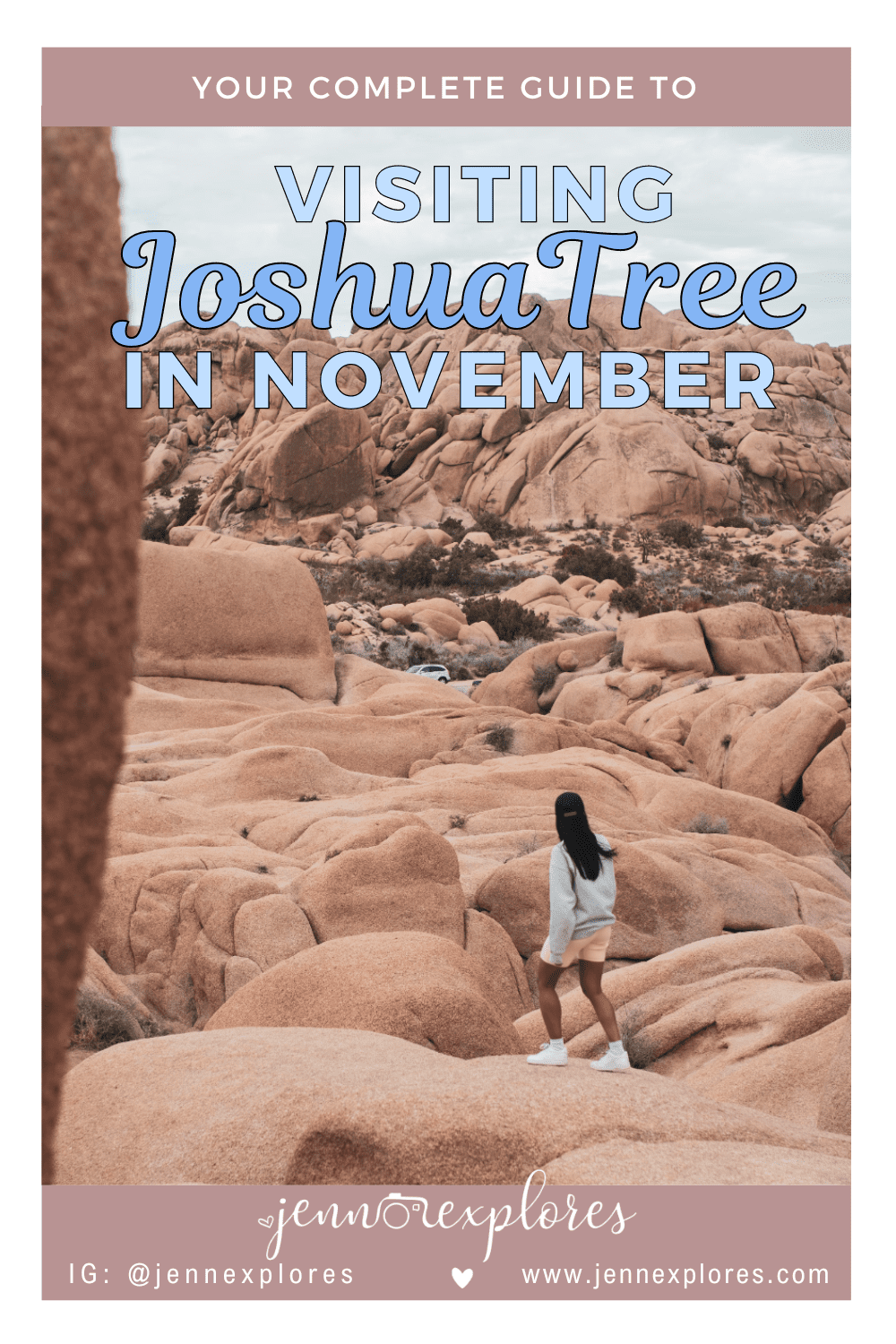 joshua tree national park november