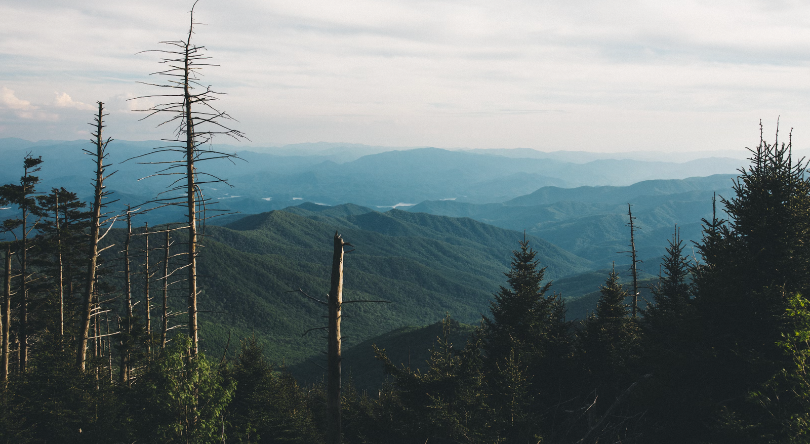 treehouses in blue ridge mountains