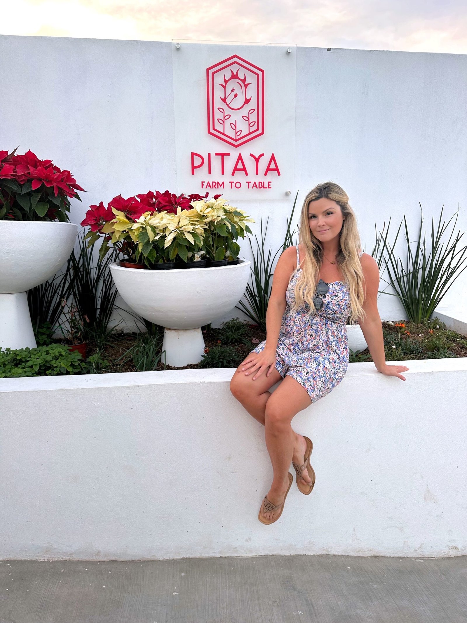 La Ventana restaurants Pitaya Farm to table