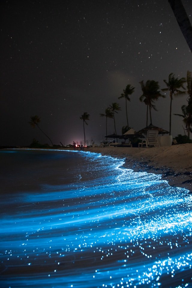 Bioluminescent Puerto Rico beaches at night